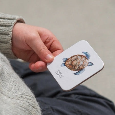 MODERN MONTY OCEAN MEMORY CARD GAME