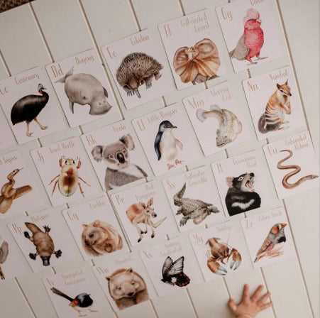 MODERN MONTY AUSTRALIAN ANIMAL ALPHABET FLASH CARDS