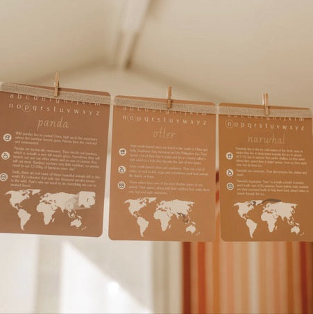 MODERN MONTY ANIMAL ALPHABET FLASH CARDS