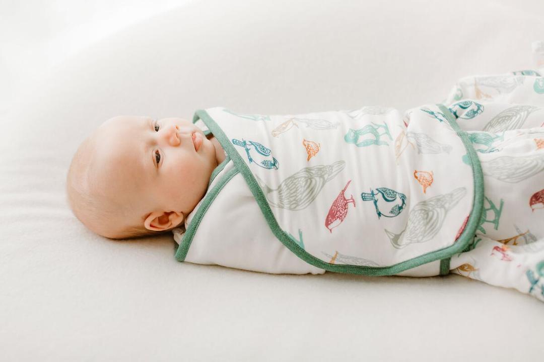 Nest 2.5 TOG Bamboo Swaddle Sleep Bag - Birder's Paradise 0-6M