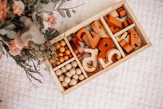 Montessori Sorting Trays set of 3