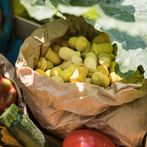 GRAPAT Mandala Tulip