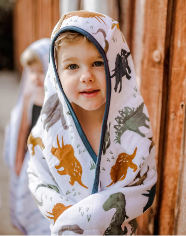 Toddler Hooded Towel - Dino Friends