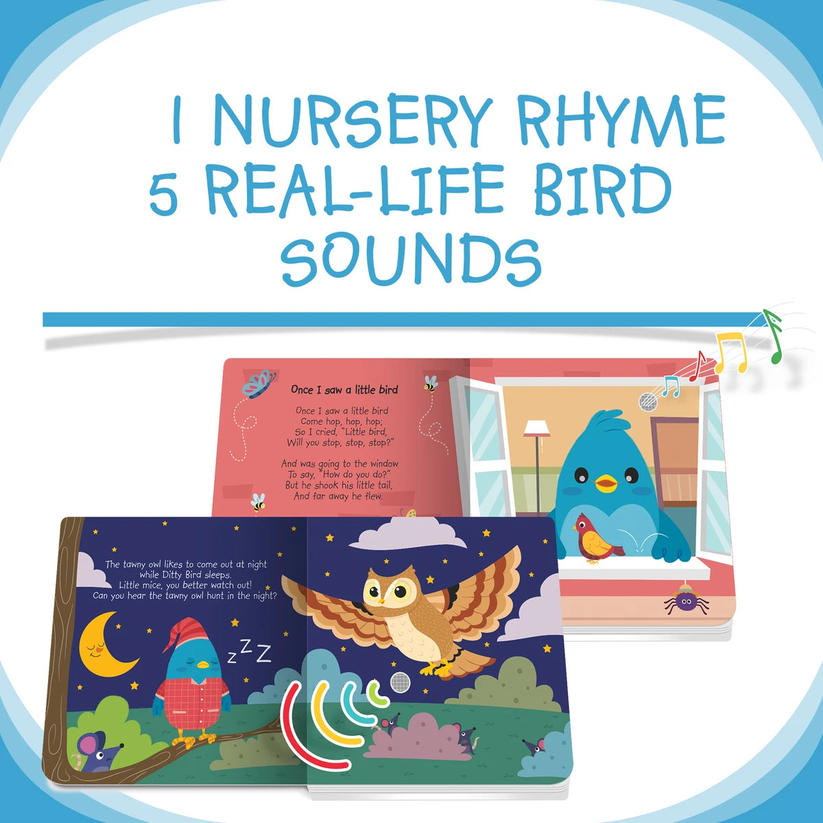 DITTY BIRD - BIRD SONGS