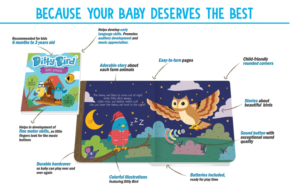 DITTY BIRD - BIRD SONGS