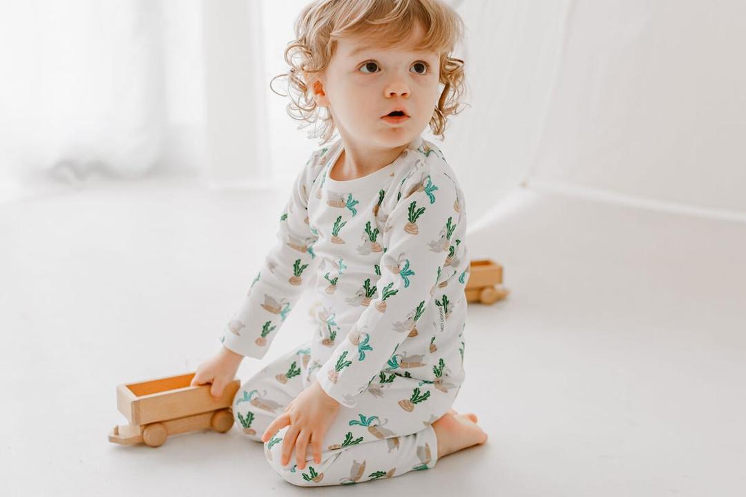Nest Organic Cotton Two-Piece PJ Set - Lazy Rabbits