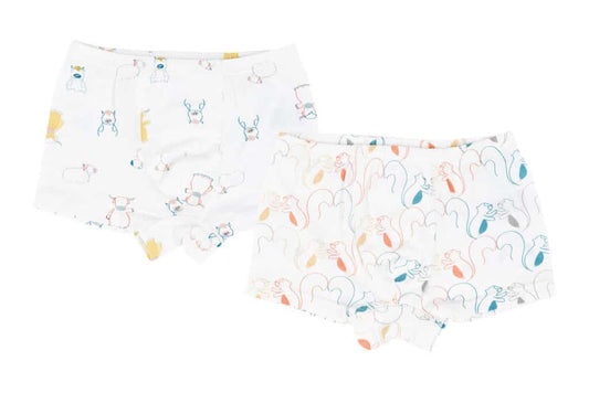 Bamboo Boys Boxer Briefs Underwear (2 Pack) – Ox-Standing! and Spring Fling