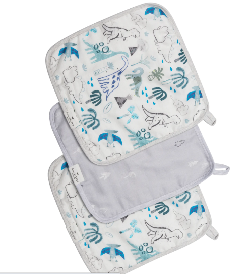 AW22 - Washcloth 3-pieces Set - Dinosaurs