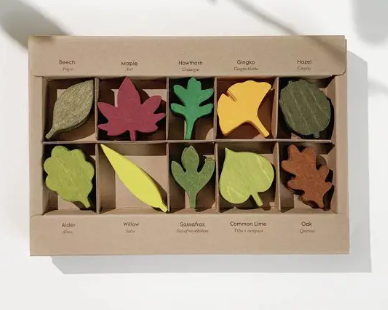 Woodland Leaves