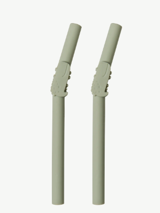 Born To Be Wild Kids Straw (Pack of 2) - Alligator