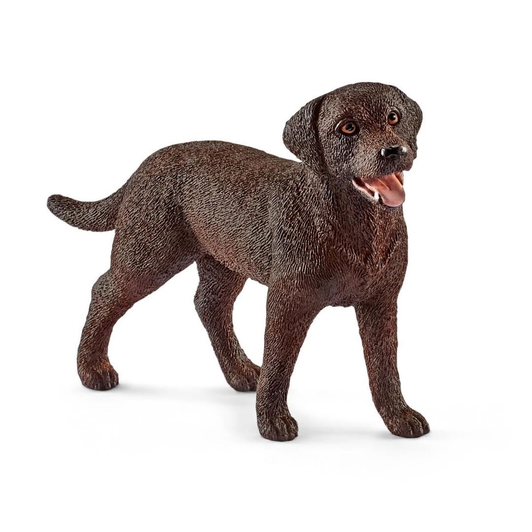 LABRADOR RETRIEVER FEMALE
