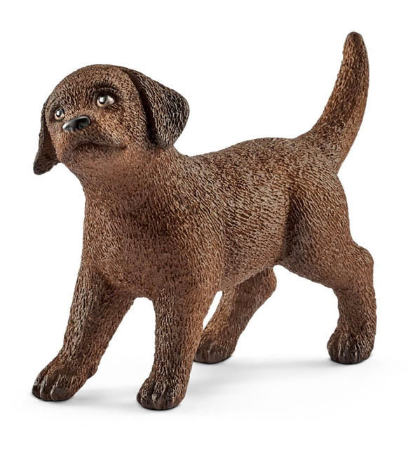 LABRADOR RETRIEVER PUPPY