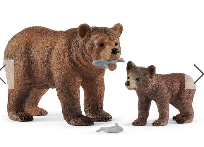 GRIZZLY BEAR MOTHER WITH CUB