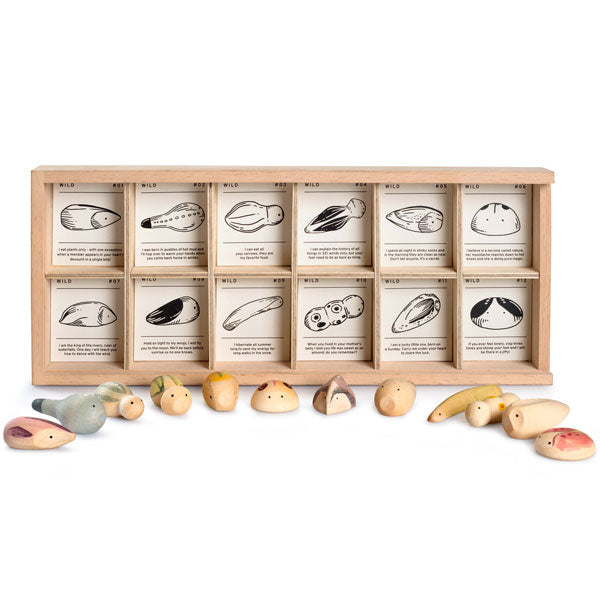 GRAPAT Wild Exploration Play Set