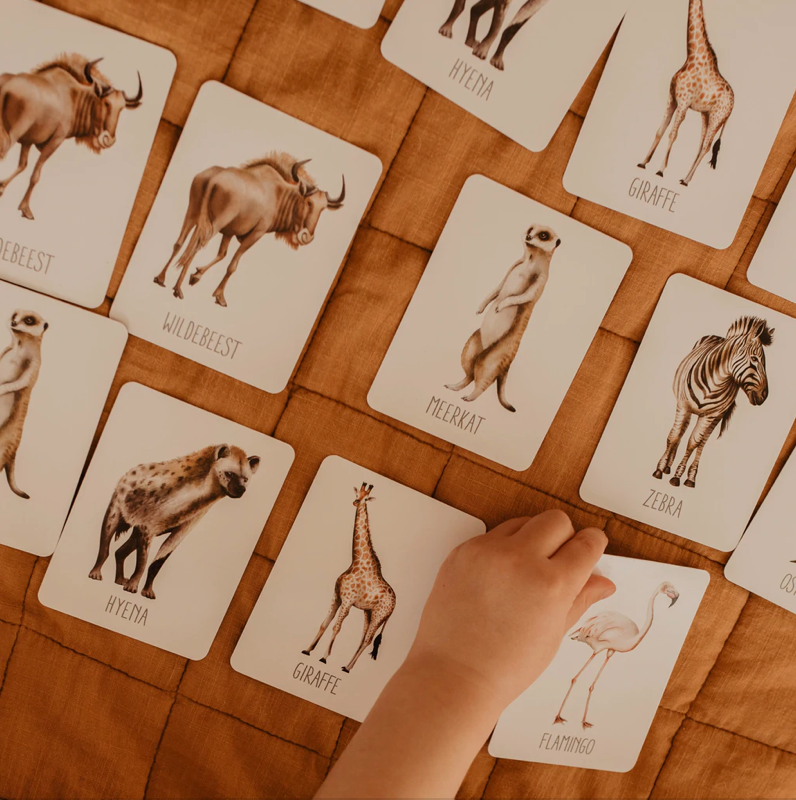 AFRICA SNAP & GO FISH (2 CARD GAMES IN 1)