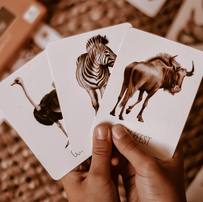 AFRICA SNAP & GO FISH (2 CARD GAMES IN 1)