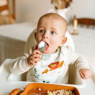 Learning Spoon and Fork Set - Lion