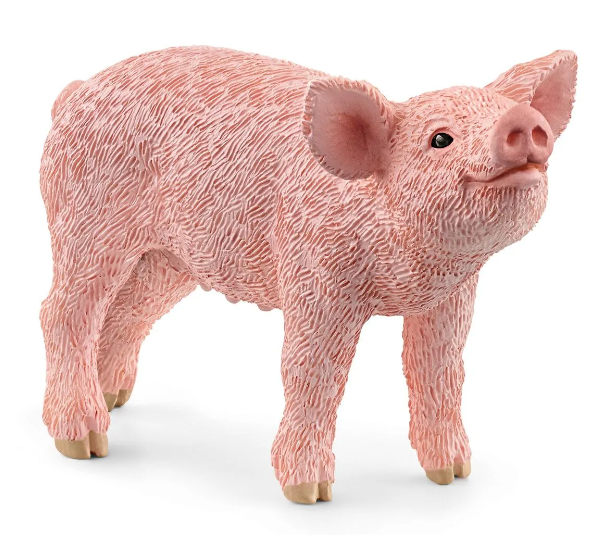 Piglet