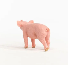 Piglet
