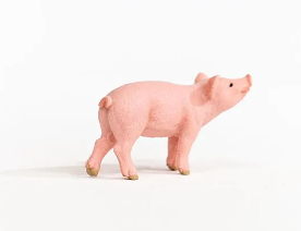 Piglet