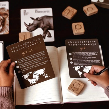 MODERN MONTY ANIMAL ALPHABET FLASH CARDS