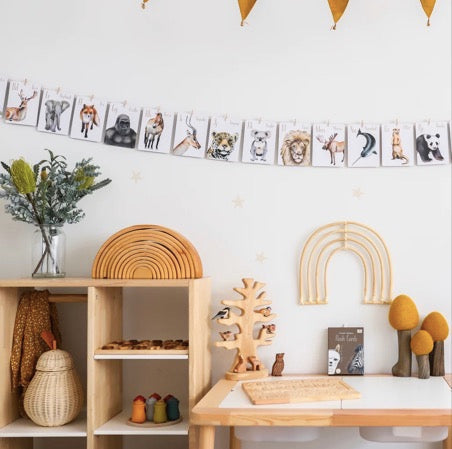 MODERN MONTY ANIMAL ALPHABET FLASH CARDS