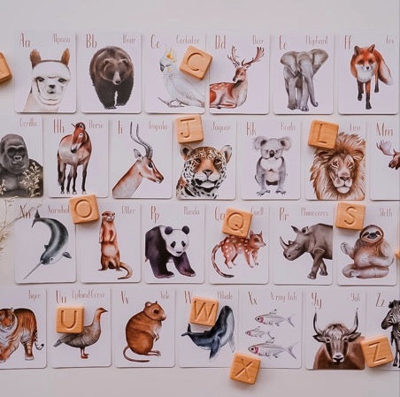 MODERN MONTY ANIMAL ALPHABET FLASH CARDS