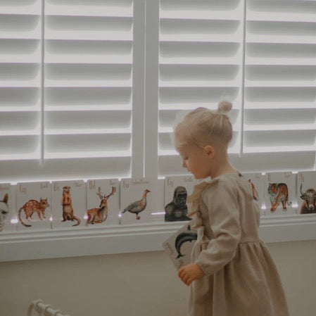 MODERN MONTY ANIMAL ALPHABET FLASH CARDS