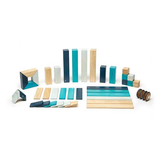 $130  42-Piece Set  Magnetic Wooden Blocks  Tegu Classics-blues