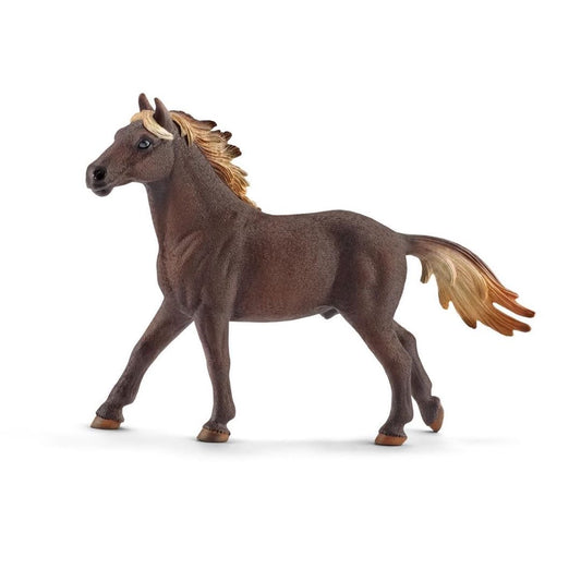 MUSTANG STALLION