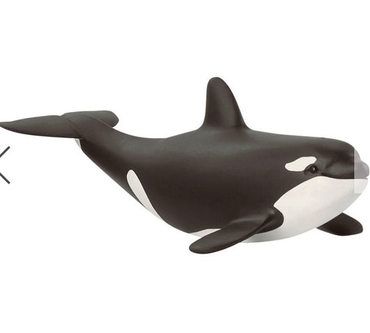 BABY ORCA