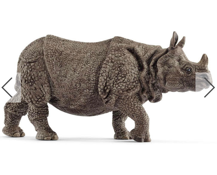 INDIAN RHINOCEROS