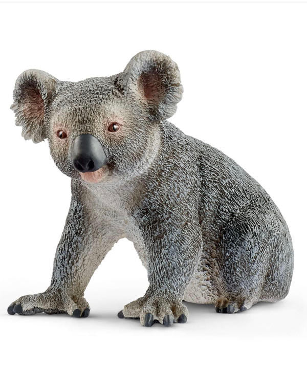 KOALA