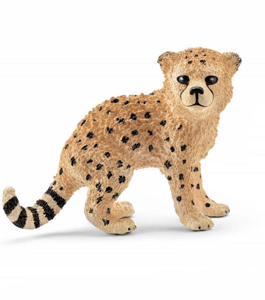 CHEETAH CUB