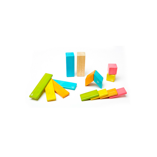 14-Piece Magnetic Wooden Block Set Tints
