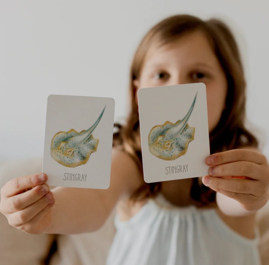 OCEAN SNAP & GO FISH (2 CARD GAMES IN 1)
