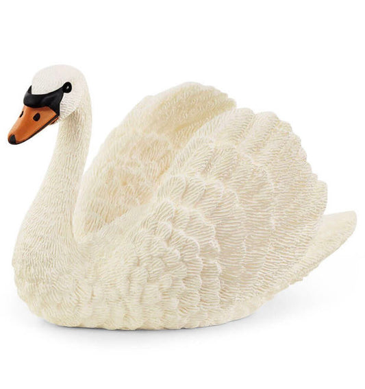 SWAN