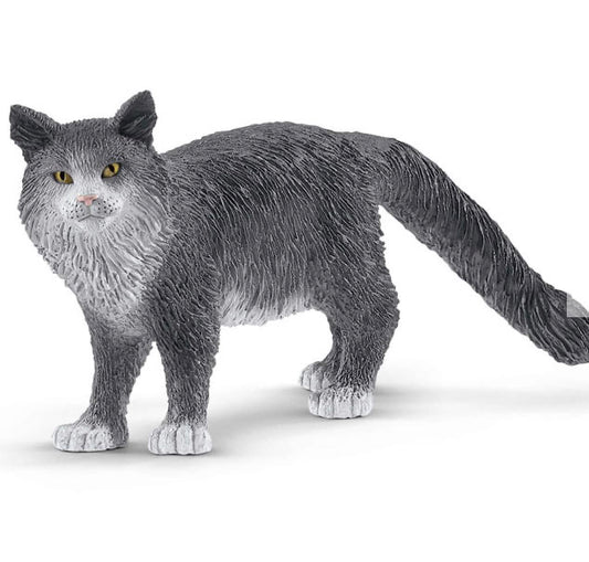 MAINE COON CAT